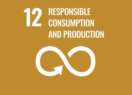 12 Responsible consumption and production compress