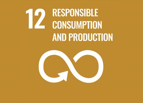 12 Responsible consumption and production
