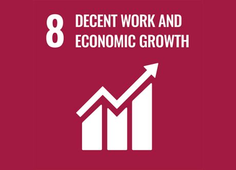 8 Decent work and Economic growth